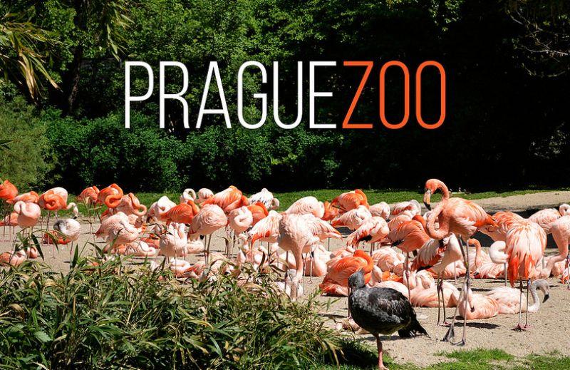 praga_zoopark